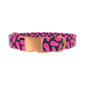 Halloween Coffin Dog Collar - metal silver