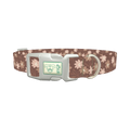 Floral Coffee Dog Collar - plastic silver