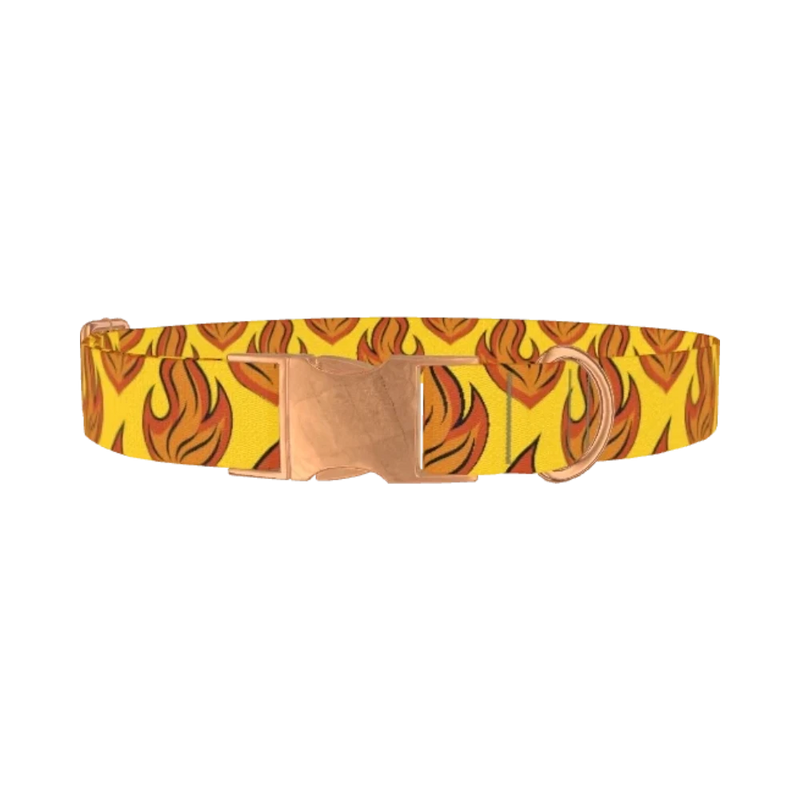 Flame Burst Dog Collar - metal rose gold