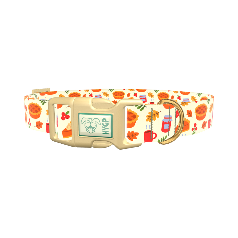 Thanksgiving Pie Dog Collar - plastic silver