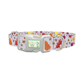 Autumn Acorn Dog Collar - plastic silver
