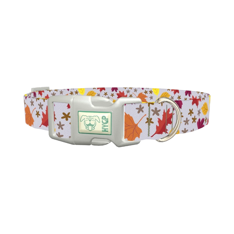 Autumn Acorn Dog Collar - plastic silver