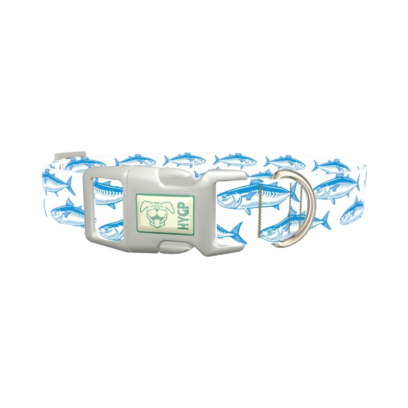Ocean Fish Dog Collar - plastic silver