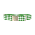 Green Plaid Dog Collar - metal silver