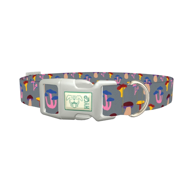 Colorful Mushroom Dog Collar - plastic silver