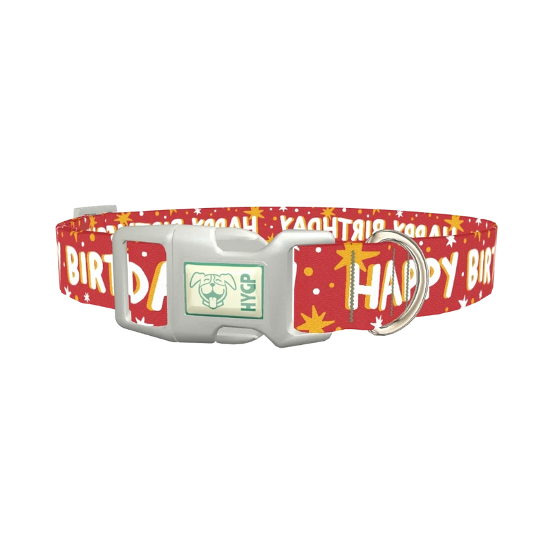 Starry Birthday Dog Collar - plastic silver