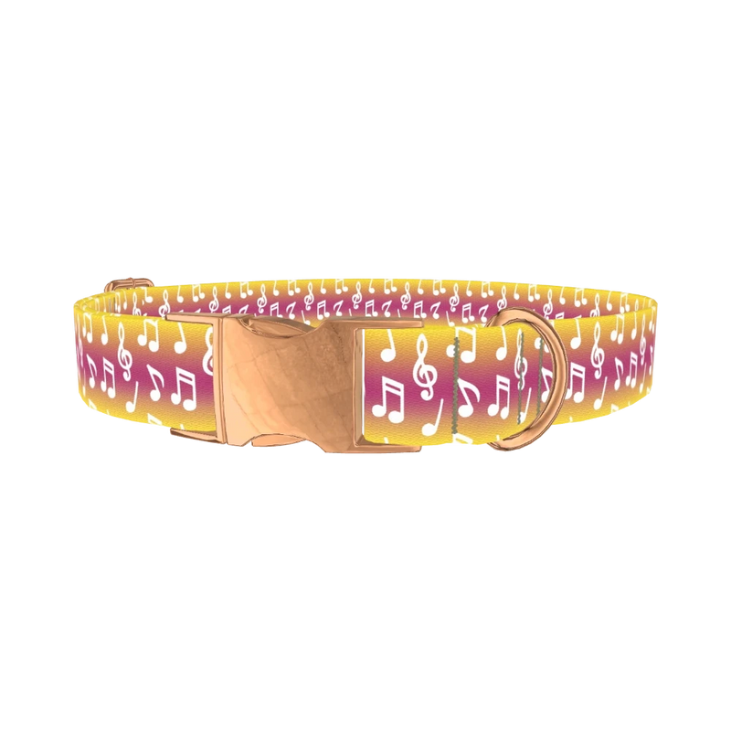 Gradient Musical Note Dog Collar - metal rose gold