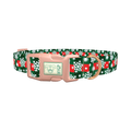 Christmas Plaid Snowflake Dog Collar - plastic rose gold