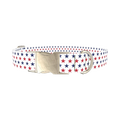 Patriotic Star Dog Collar - metal silver