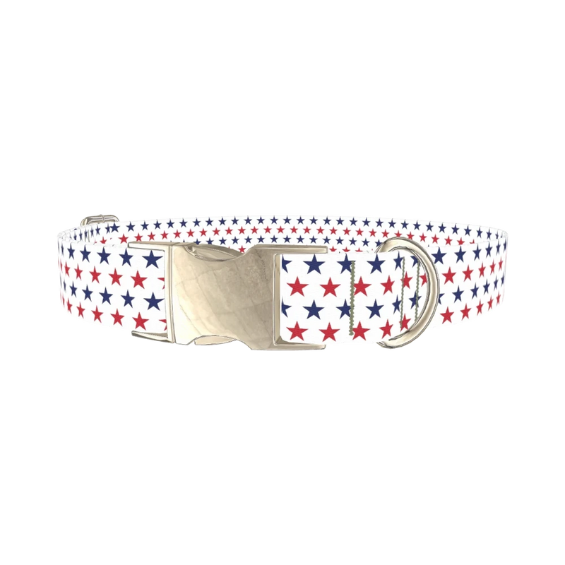 Patriotic Star Dog Collar - metal silver