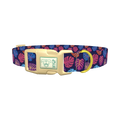 Colorful Monstera Dog Collar - plastic gold