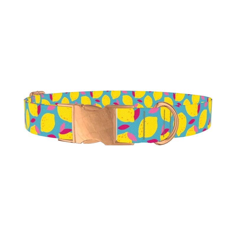 Lemon Fruit Dog Collar - metal rose gold