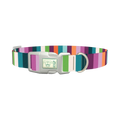 Color Stripe Dog Collar - plastic silver