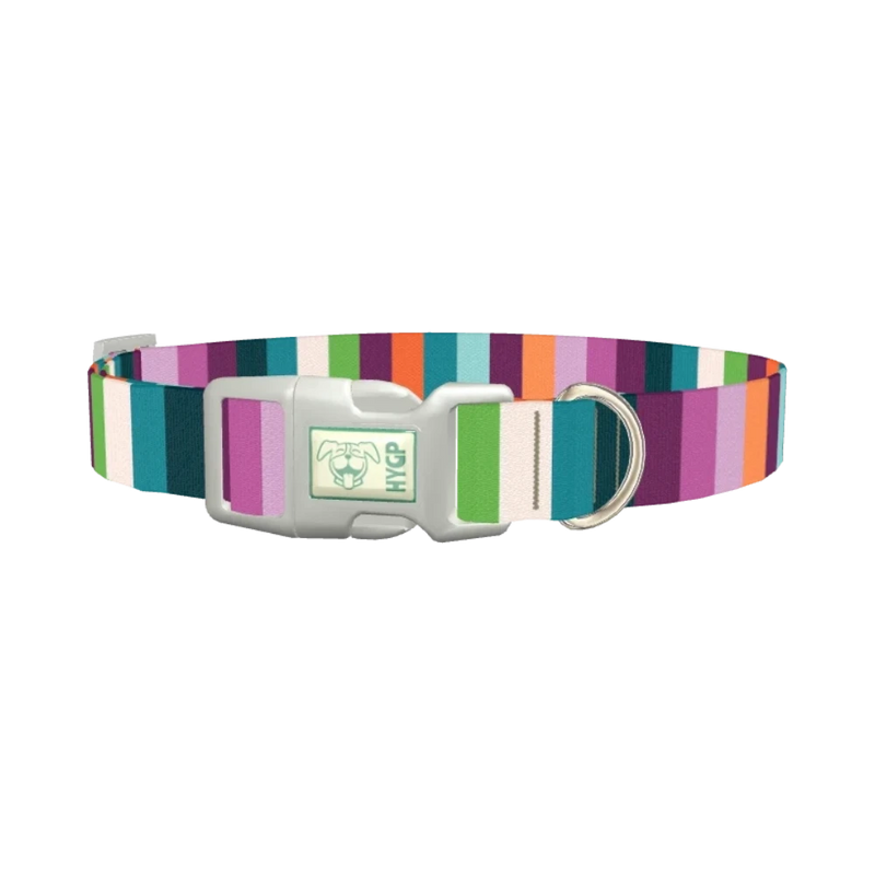 Color Stripe Dog Collar - plastic silver