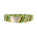 Geometric Diagonal Dog Collar - metal gold
