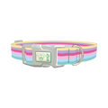 Pastel Striped Dog Collar - plastic silver