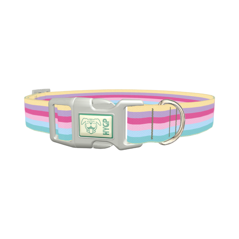 Pastel Striped Dog Collar - plastic silver