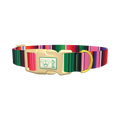 Mexican Stripe Dog Collar - plastic gold