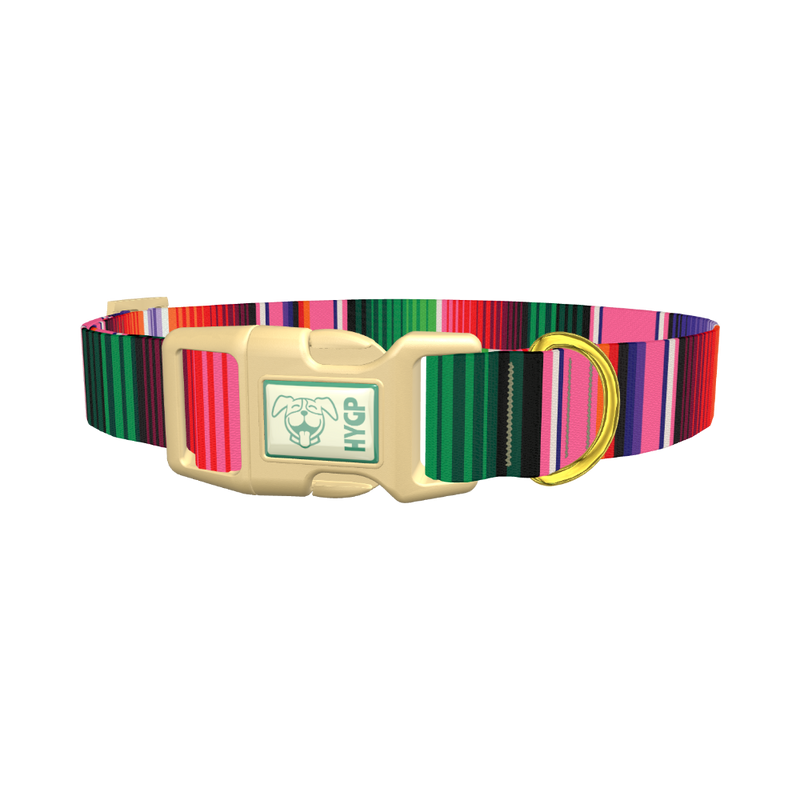 Mexican Stripe Dog Collar - plastic gold
