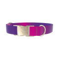 Pink Purple Gradient Dog Collar - metal silver