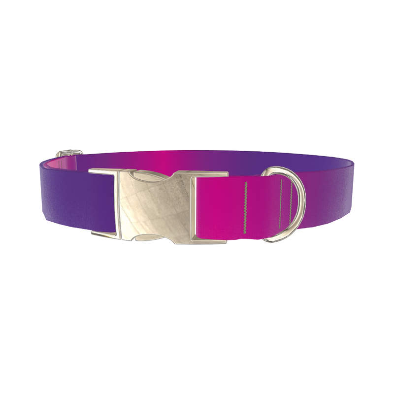 Pink Purple Gradient Dog Collar - metal silver
