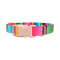 Wavy Rainbow Stripe Dog Collar - plastic silver