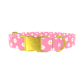 White Daisy Pink Dog Collar - metal gold
