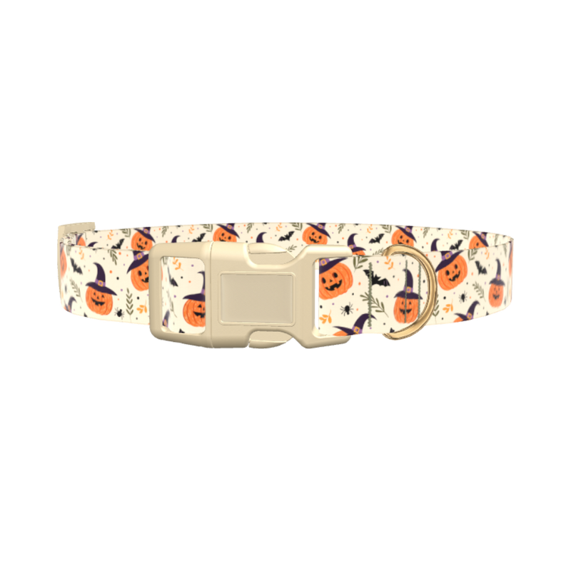 Witchy Pumpkin Halloween Dog Collar - plastic rose gold