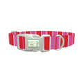 Red Pink Striped Dog Collar - plastic silver