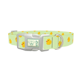 Rubber Duckies Dog Collar - plastic silver