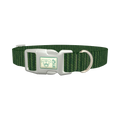 Green Knit Pattern Dog Collar - plastic silver