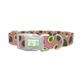 Pink Avocado Print Dog Collar - plastic silver
