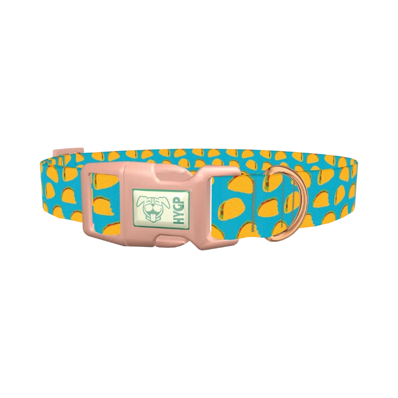 Blue Taco Dog Collar - plastic rose gold