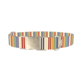 Rainbow Stripe Dog Collar - metal silver