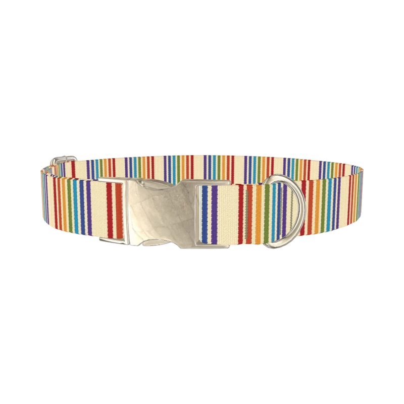 Rainbow Stripe Dog Collar - metal silver