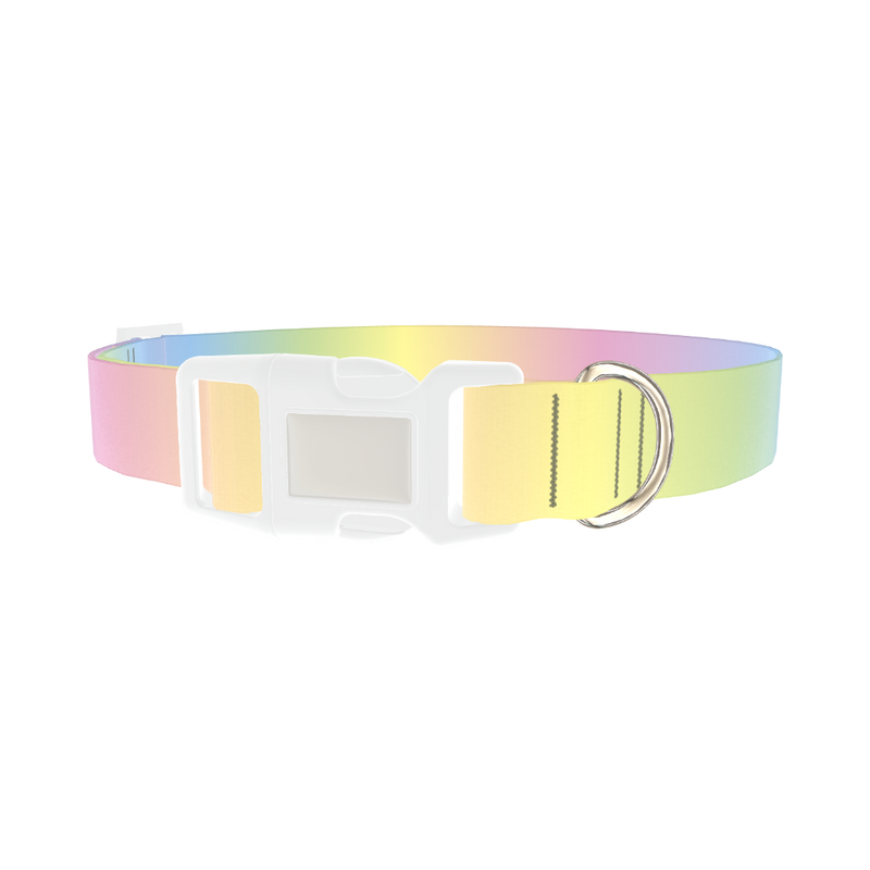 Pastel Gradient Dog Collar - plastic silver