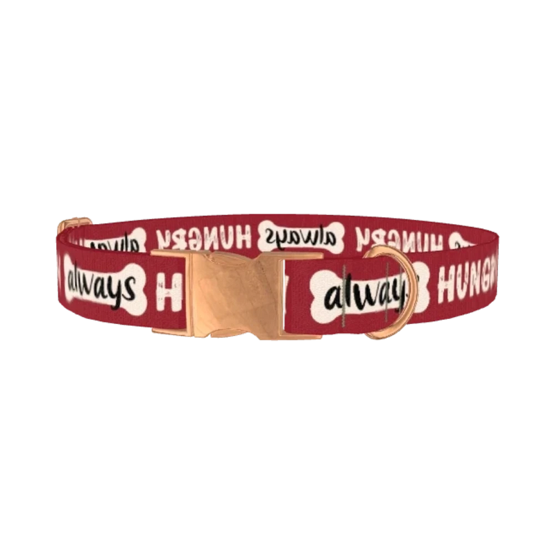Always Hungry Dog Collar - metal rose gold