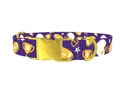 Football_Vikings2