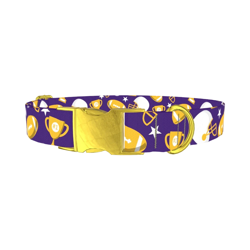 Football Theme Dog Collar - metal gold