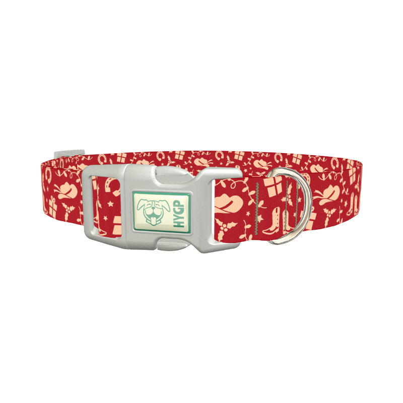 Western Christmas Dog Collar - plastic silver