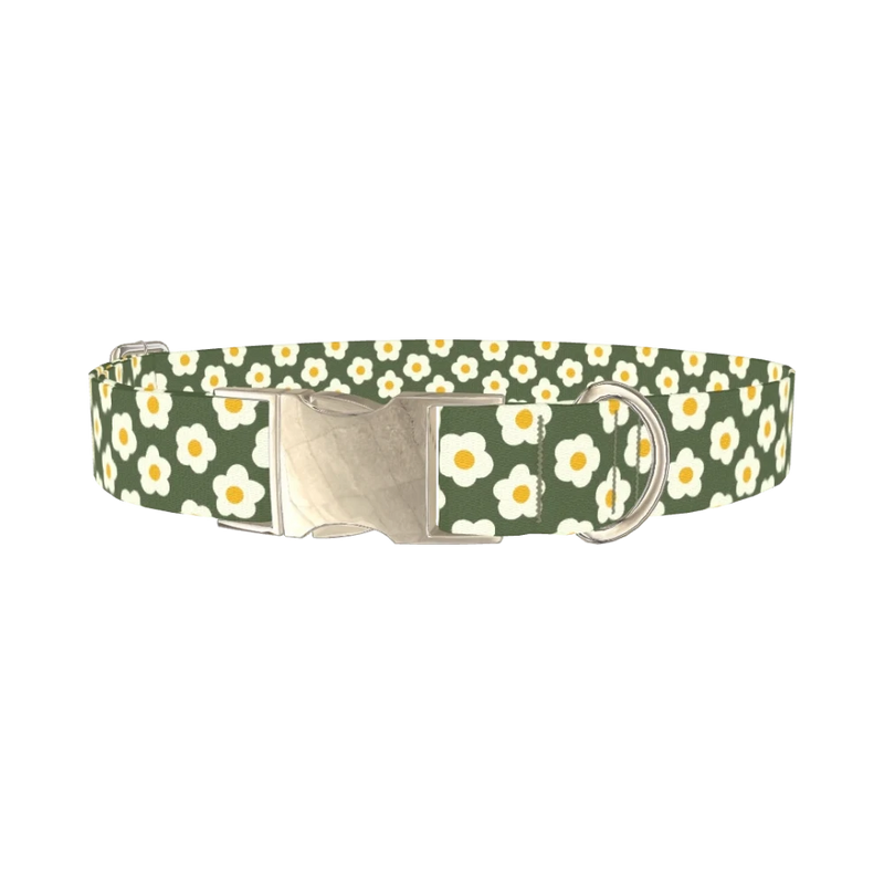 Floral Daisy Dog Collar - metal silver