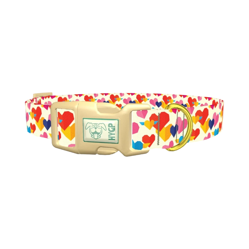 Winged Geometric Heart Dog Collar - plastic gold