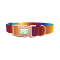 Rainbow Gradient Dog Collar - plastic rose gold