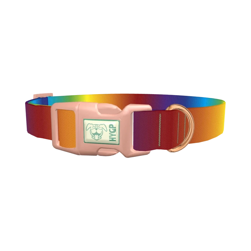 Rainbow Gradient Dog Collar - plastic rose gold