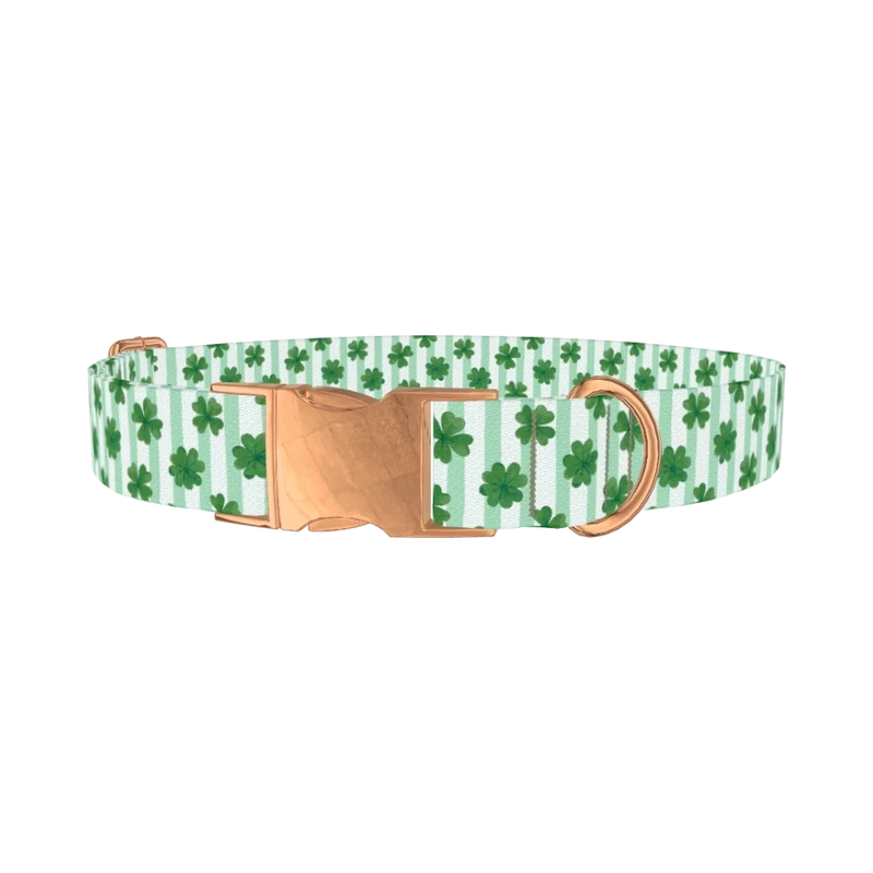 Clover Stripes Dog Collar - metal rose gold