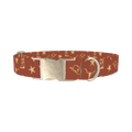 Western Rodeo Dog Collar - metal silver