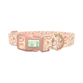 Fall Pumpkin Outline Dog Collar - plastic rose gold
