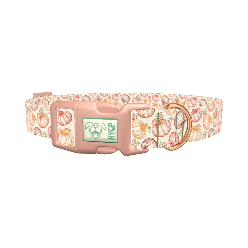 Fall Pumpkin Outline Dog Collar - plastic rose gold