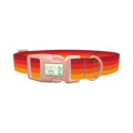 Retro Hexagon Dog Collar - plastic rose gold