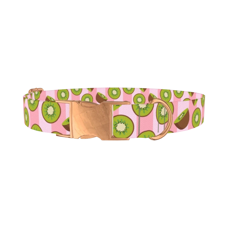 Pink Kiwi Pattern Dog Collar - metal rose gold